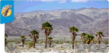 06 indio.png