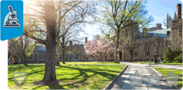 09 princeton.png