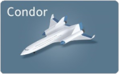 10 condor.png