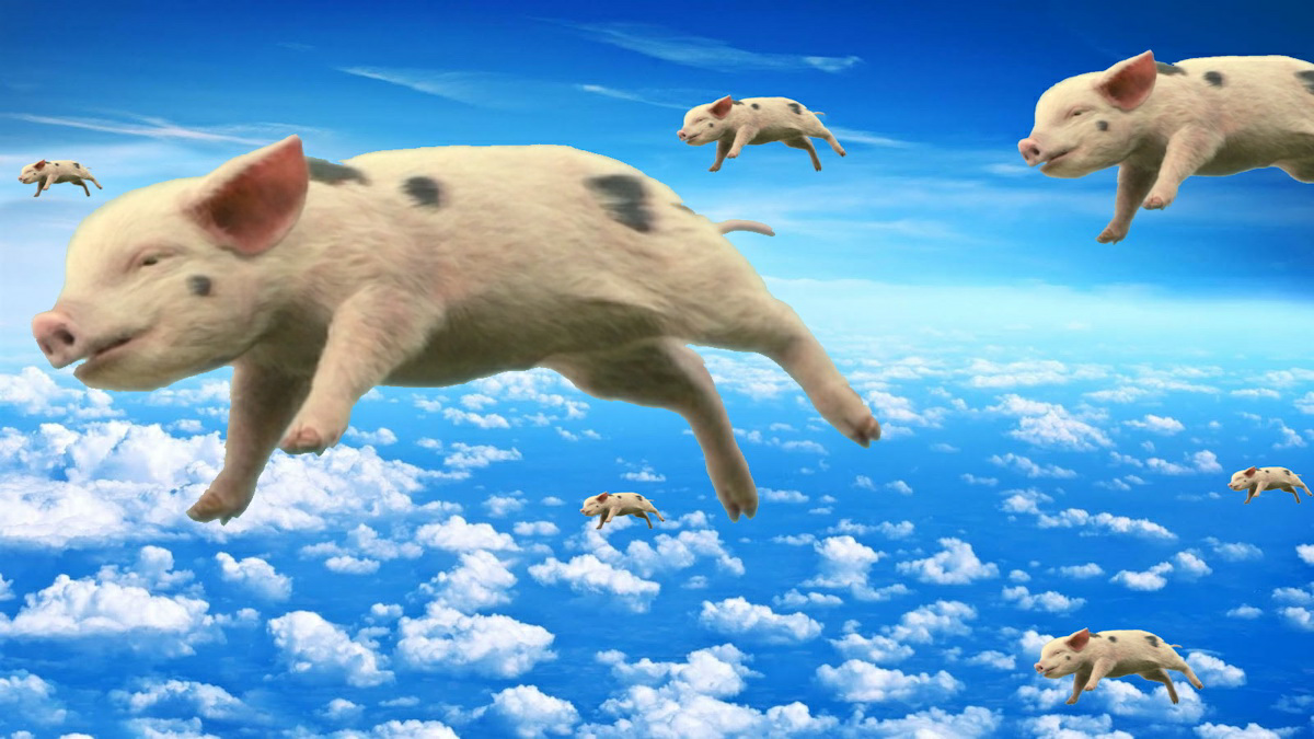1629220737539.png