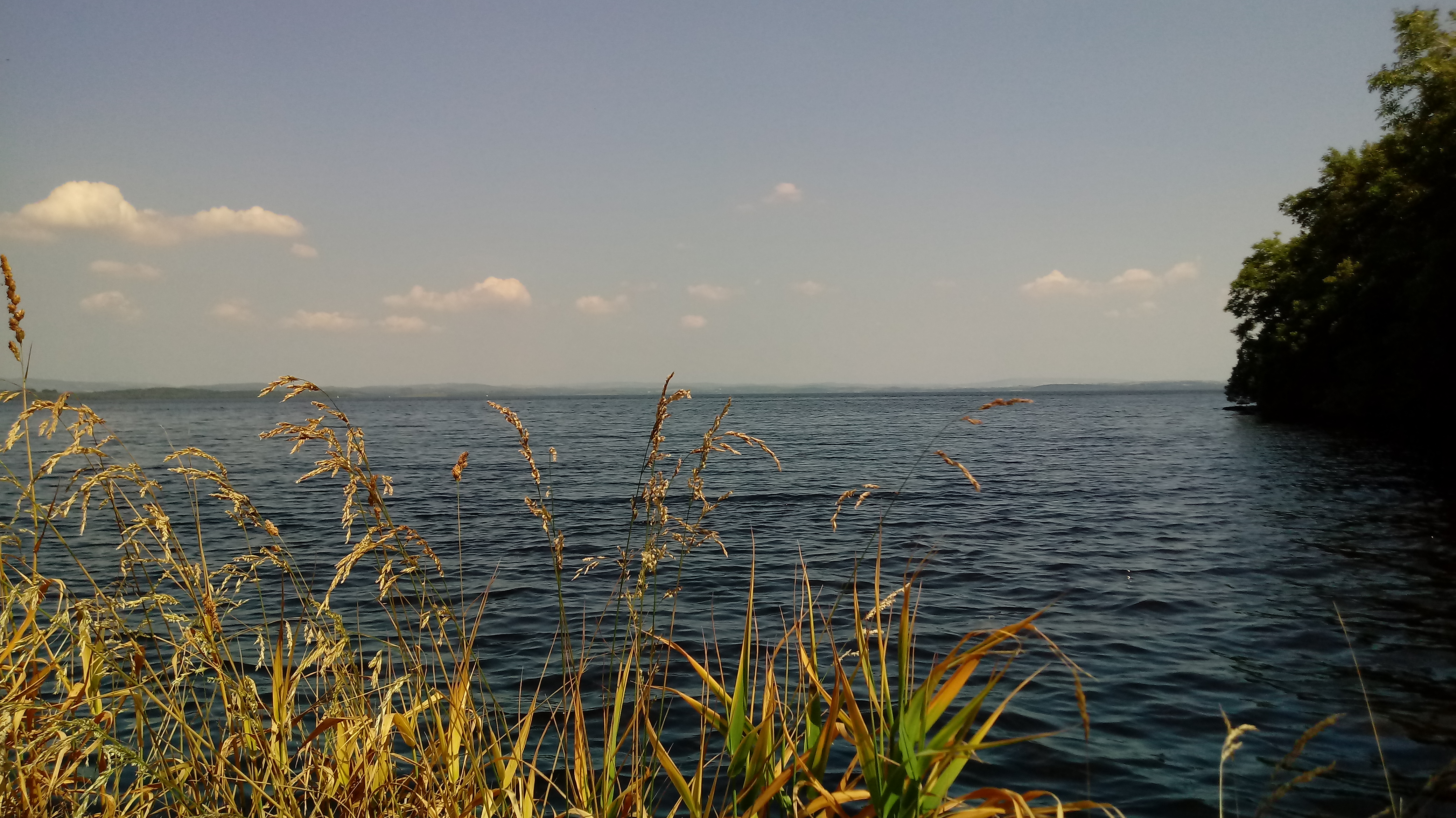 20180630_134023_HDR.jpg