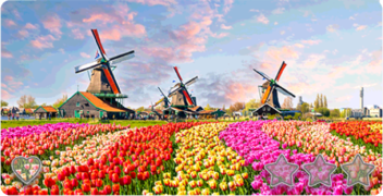 6-07 amsterdam.png