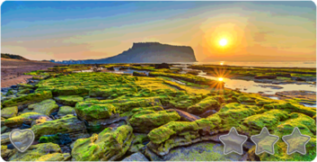 806 jeju island.png