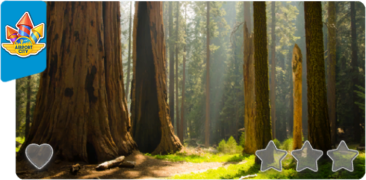 a1_sequoia.png