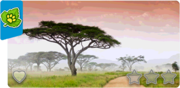 b2 serengeti national park.png