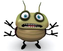 bug.jpg