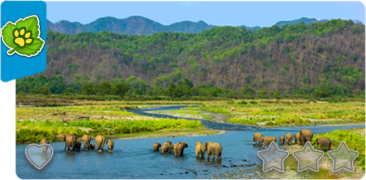 c2 jim corbett national park.png