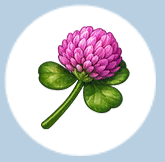 clover_flower.png