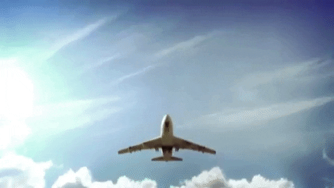 DF8666BD-6B14-4D77-B9FB-A1A6FB889A1D.gif