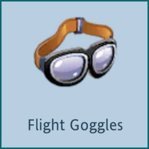 Flight Goggles.jpg