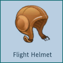 Flight Helmet.jpg