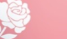 FLOWERY PLANE.png