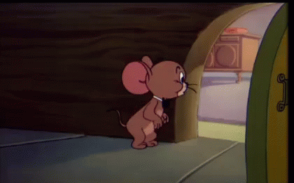 fp  jerry.gif