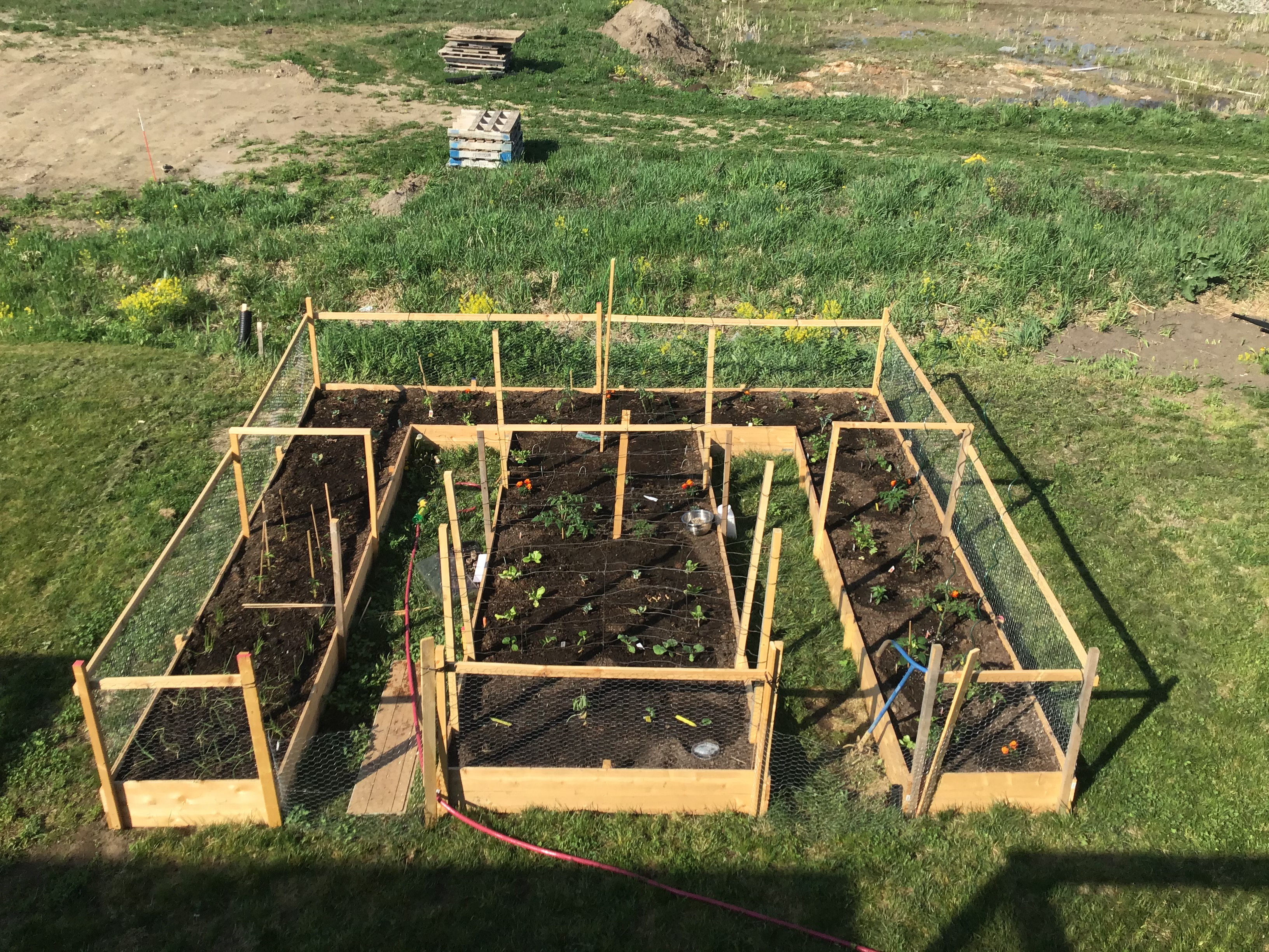 garden.jpg