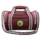 goal scorers bag.png