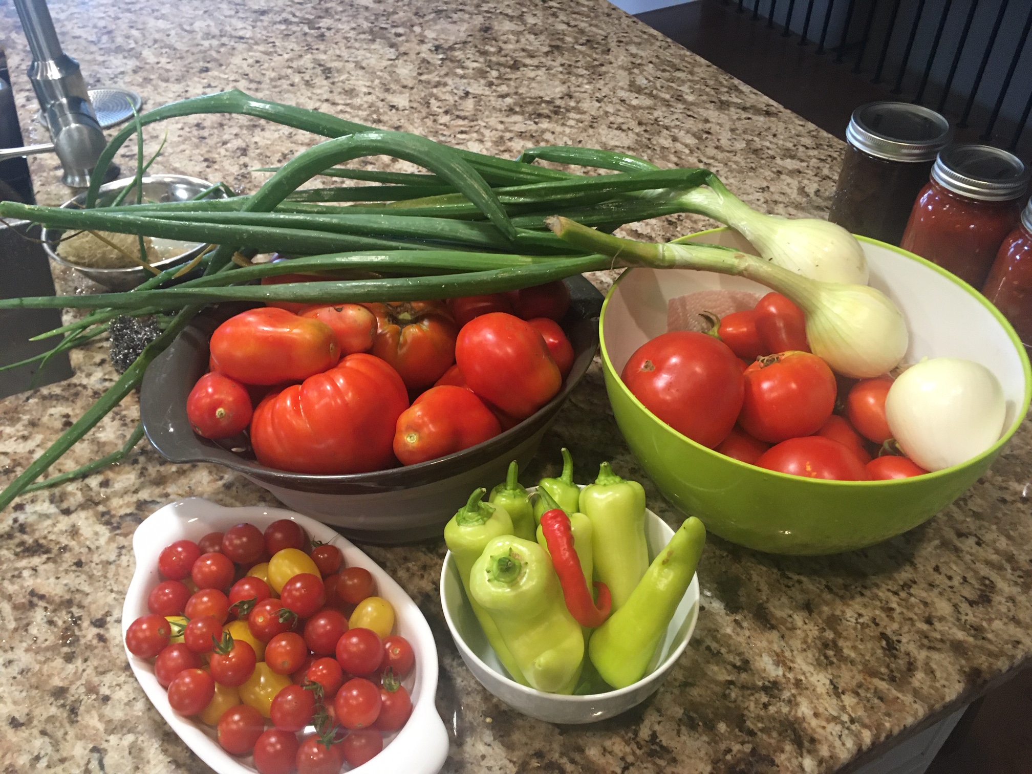 harvest.JPG