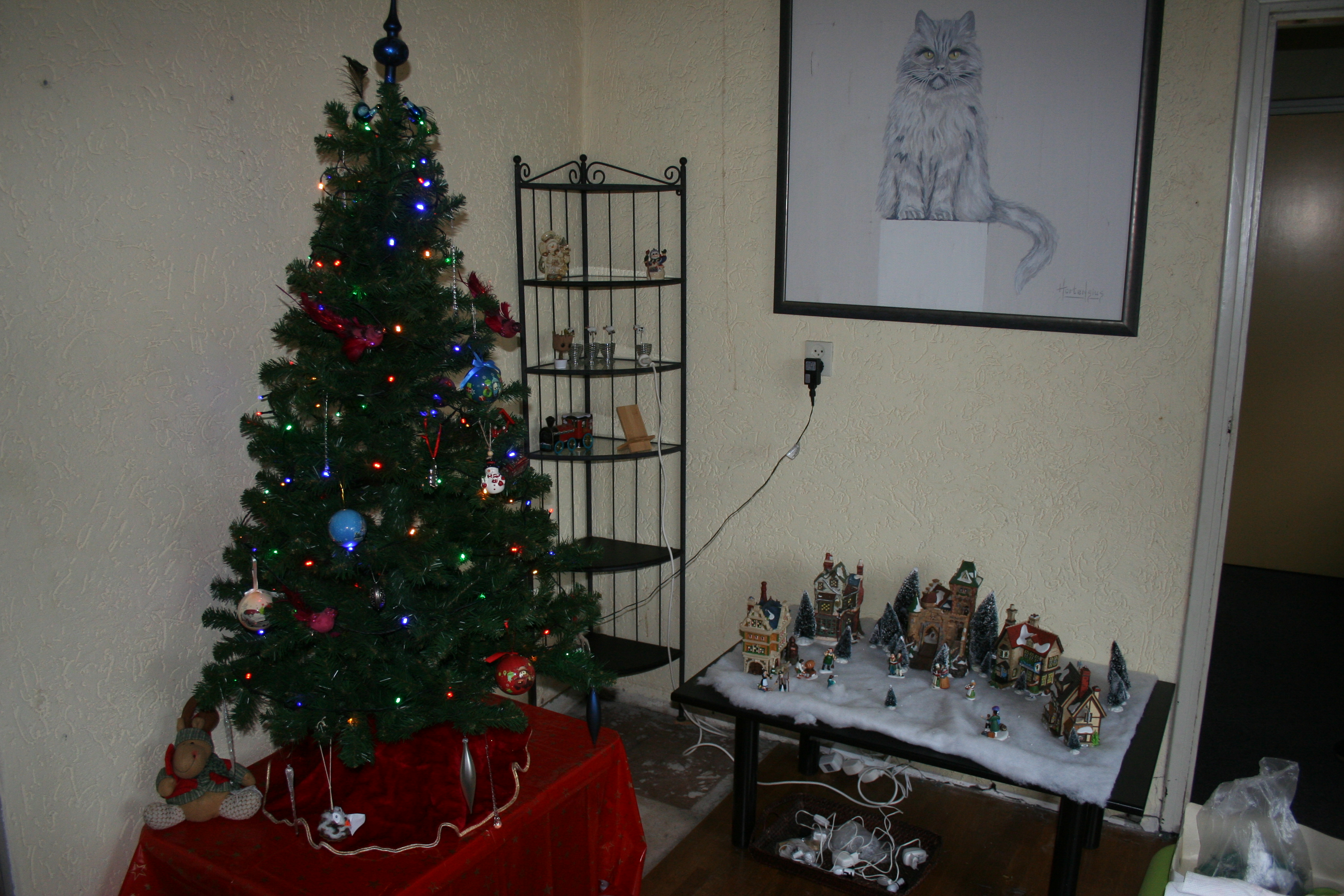 IMG_6455.JPG