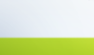 LIME LIVERY.png