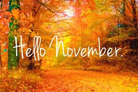 nov.jpg