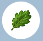oak_leaf.png