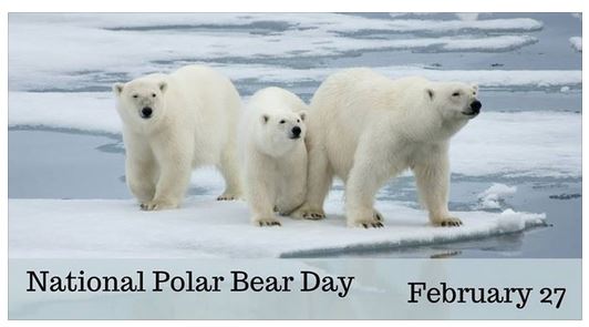polar bear.JPG