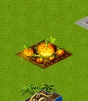 Pumpkin Patch (Custom).JPG