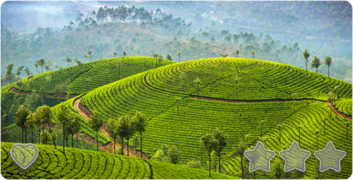 std 02-03 sri lanka.png