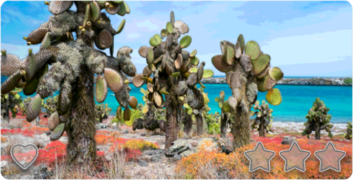 std 04-05 galapagos islands.png