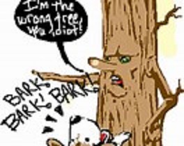 tree.jpg