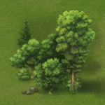 trees 2.png