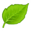 leaf.png