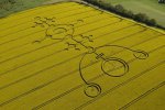 crop circles.jpg