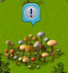 mushrooms_old.png