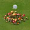 mushrooms.png