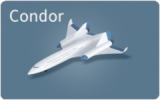 10 condor.png