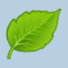 leaf.png