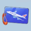 baggage tag.png