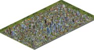 My City_edited.jpg