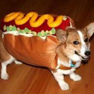 Hotdog