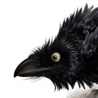 Dragoncrow