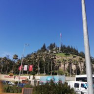 Sümeyye 456