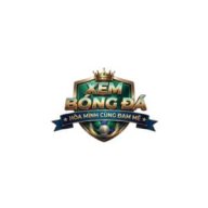 xembongdaltn