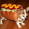 Hotdog