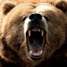 Angry Bear