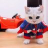 Captaincat