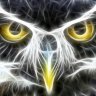 FalconEyes