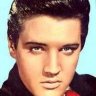 ElvistheKing