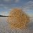 tumbleweed