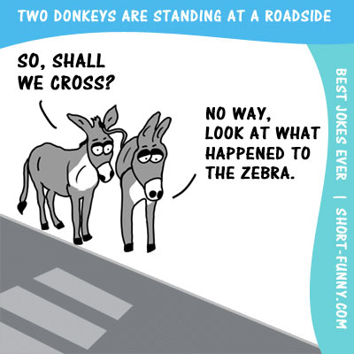 Donkey Joke